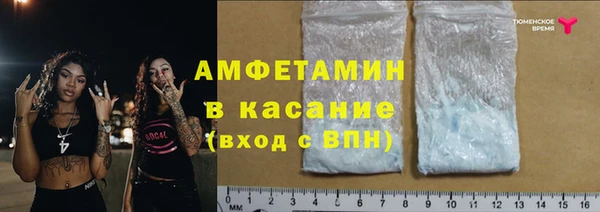 прущие грибы Аркадак
